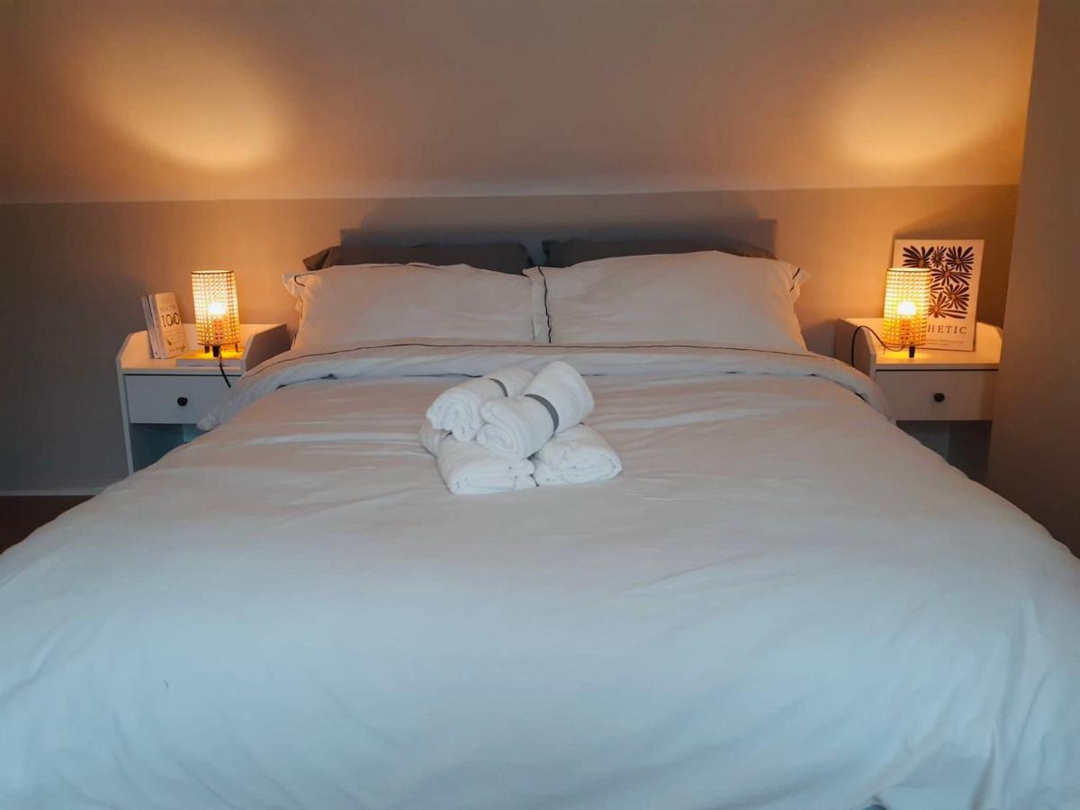 J&S Downtown Sky Attic House Apartment Belfast Ngoại thất bức ảnh
